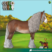Horse Color:Silver Brown Splash