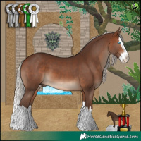 Horse Color:Silver Brown Splash
