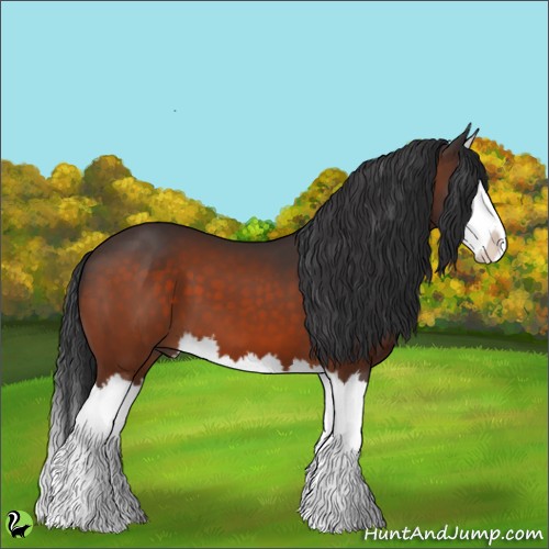 Horse Color:Bay Splash 