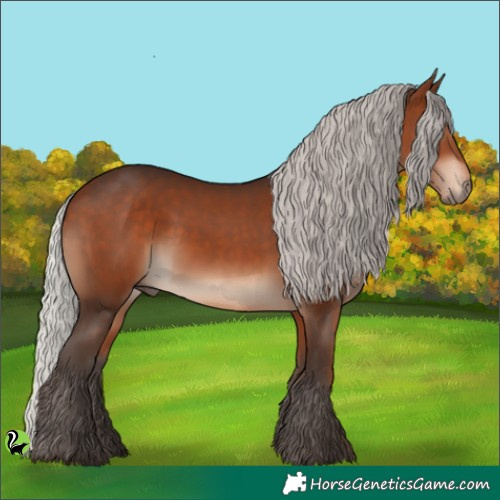 Horse Color:Silver Brown 