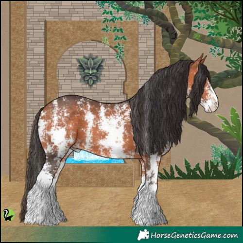 Horse Color:Bay Sabino 