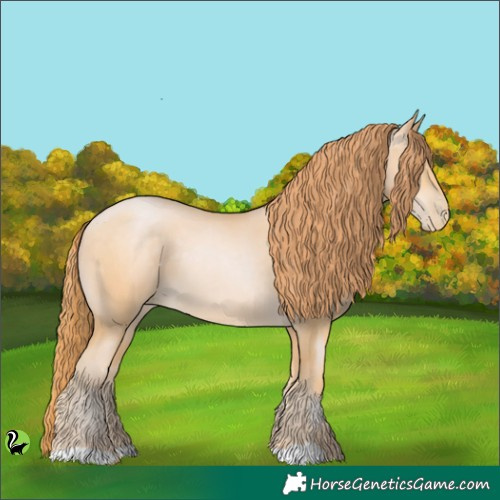 Horse Color:Buckskin Pearl 