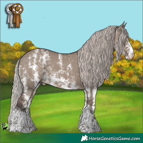 Horse Color:Silver Grullo Sabino Rabicano 