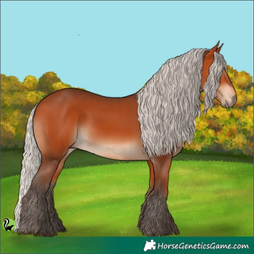 Horse Color:Silver Bay 