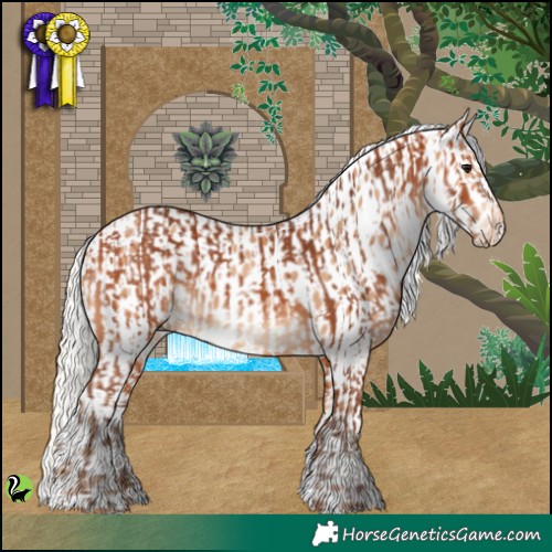 Horse Color:Silver Bay  and Silver Amber Champagne Appaloosa 
