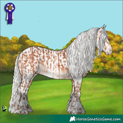 Horse Color:Silver Bay and Silver Amber Champagne Appaloosa