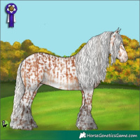 Horse Color:Silver Bay  and Silver Amber Champagne Appaloosa 