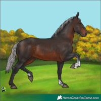 Horse Color:Silver Brown Sabino 