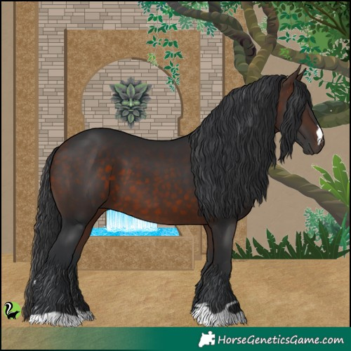 Horse Color:Brown 