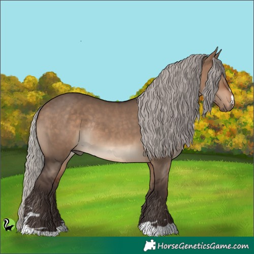 Horse Color:Silver Brown Dun Rabicano 