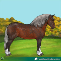 Horse Color:Silver Brown Tobiano 