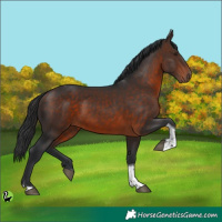 Horse Color:Brown Tobiano 