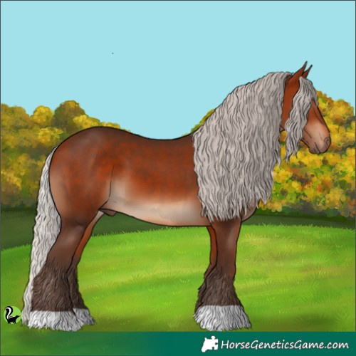 Horse Color:Silver Bay 