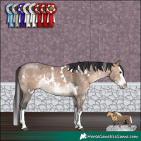 Horse Color:White Spotted Brown Dun Mushroom Sabino Splash
