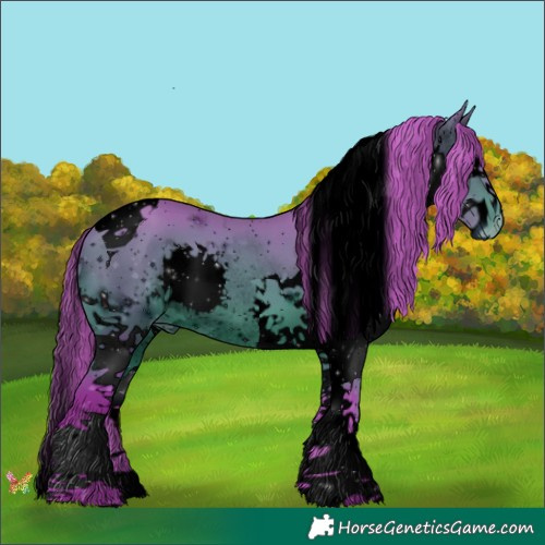 Horse Color:ERROR: UNKNOWN ANOMALY