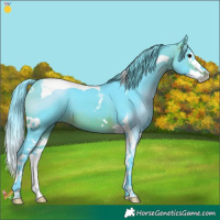 Horse Color:Watercolor Brown Splash Tobiano