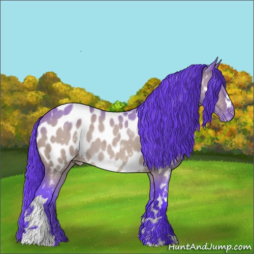 Horse Color:Watercolor Brown Roan Dun Appaloosa 