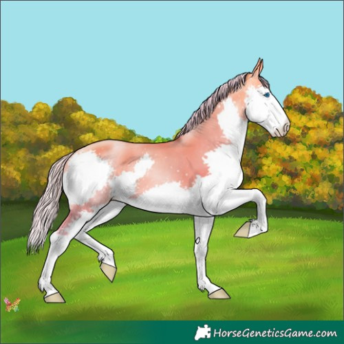 Horse Color:Watercolor Silver Sable Cream Champagne Pearl Splash 