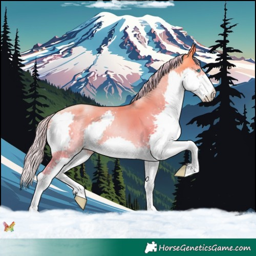 Horse Color:Watercolor Silver Sable Cream Champagne Pearl Splash 