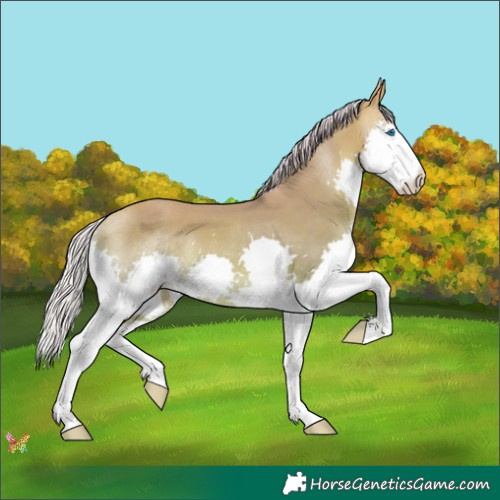 Horse Color:Watercolor Silver Sable Champagne Splash 