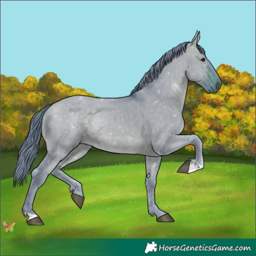 Horse Color:Watercolor Brown Dun 