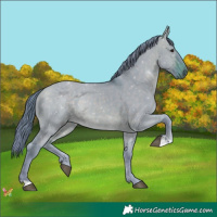 Horse Color:Watercolor Brown Dun 