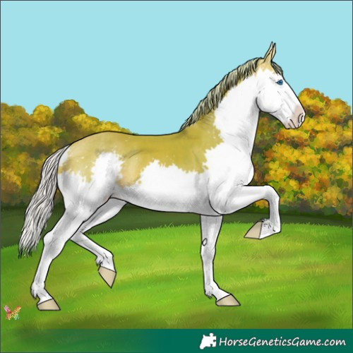 Horse Color:Watercolor Silver Sable Champagne Splash Rabicano 