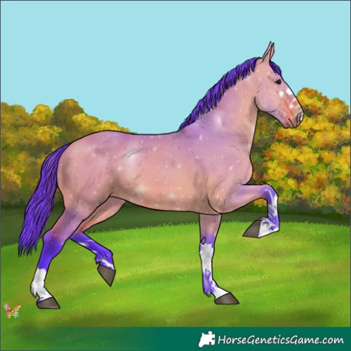 Horse Color:Watercolor Bay Dun 