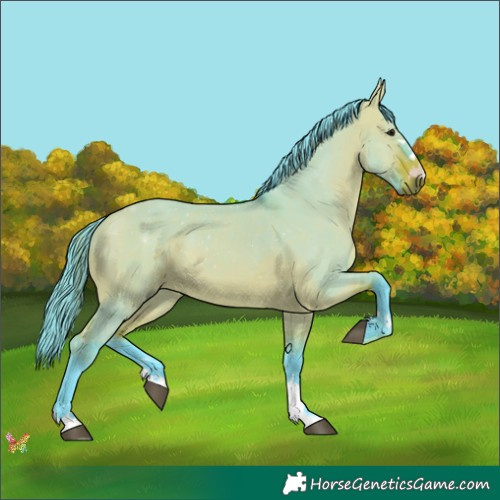 Horse Color:Watercolor Bay Dun 