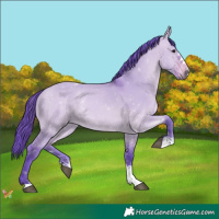 Horse Color:Watercolor Brown Dun 