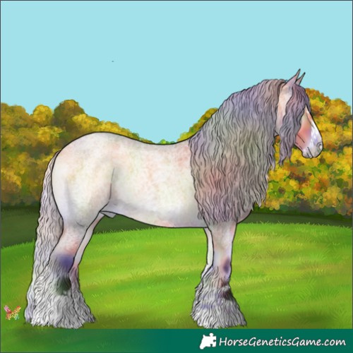 Horse Color:Nacre Silver Buckskin Roan Onyx Splash 