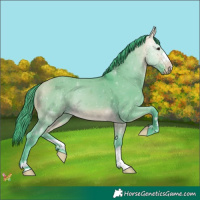 Horse Color:Watercolor Buckskin Dun 