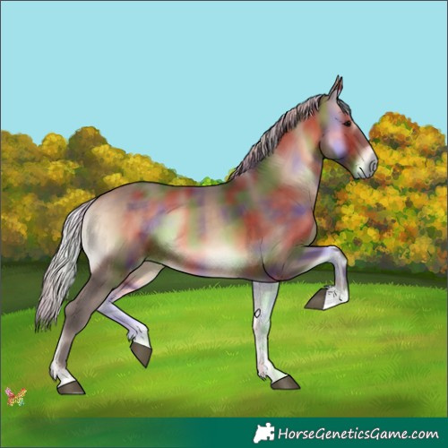Horse Color:Nacre Silver Bay Onyx 