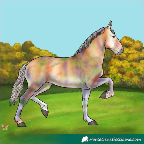 Horse Color:Nacre Silver Buckskin Onyx 