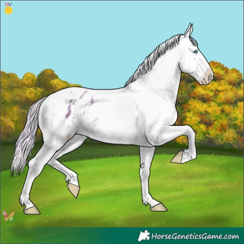 Horse Color:Watercolor Plaid Silver Brown Pearl Splash Tobiano Varnish