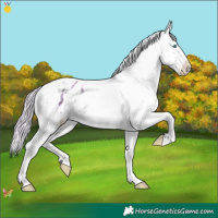 Horse Color:Watercolor Plaid Silver Brown Pearl Splash Tobiano Appaloosa