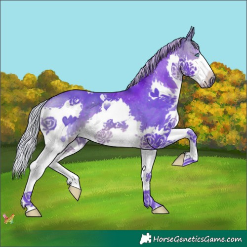 Horse Color:Watercolor Silver Brown Splash