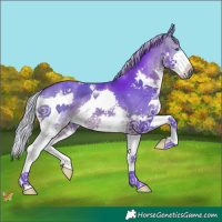 Horse Color:Watercolor Silver Brown Splash 