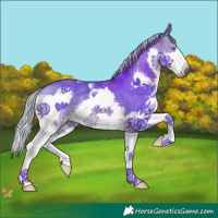 Horse Color:Watercolor Silver Brown Splash