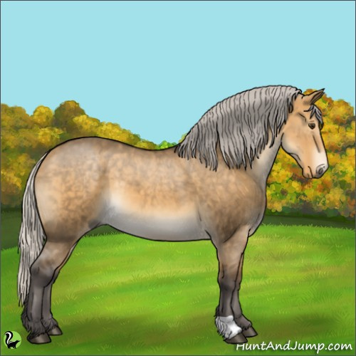 Horse Color:Silver Buckskin Dun 