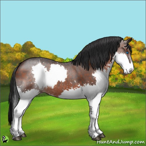 Horse Color:Brown Splash 