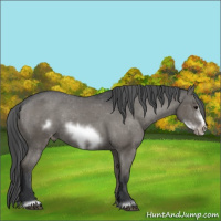 Horse Color:Grullo Sabino Frame Appaloosa Rabicano