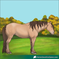 Horse Color:Amber Champagne Rabicano 