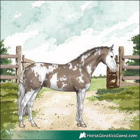Horse Color:White Spotted Silver Grullo Splash 