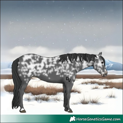 Horse Color:Black Ice 