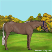 Horse Color:Silver Black 