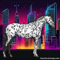 Horse Color:Black Tobiano Near Leopard 