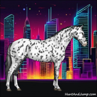 Horse Color:Black Tobiano Appaloosa 