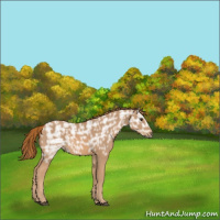 Horse Color:Chestnut Ice 