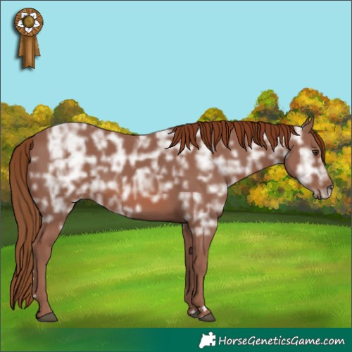 Horse Color:Chestnut Ice 